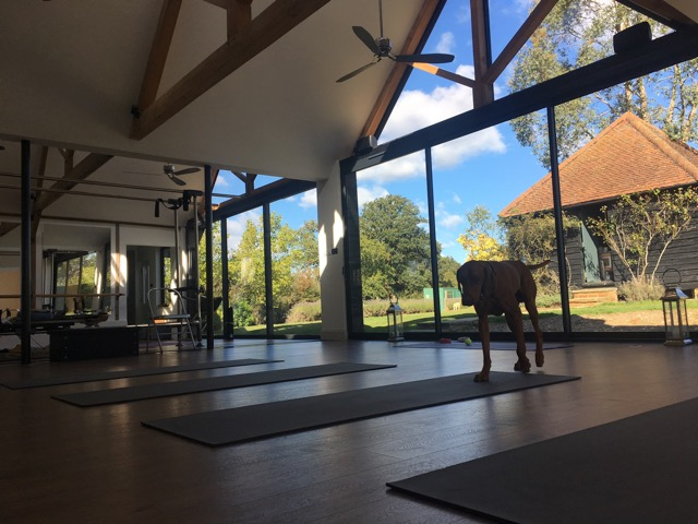 orchard studio, yoga beaconsfield, pilates beaconsfield, luxury studio beaconsfield, kirsten orchard