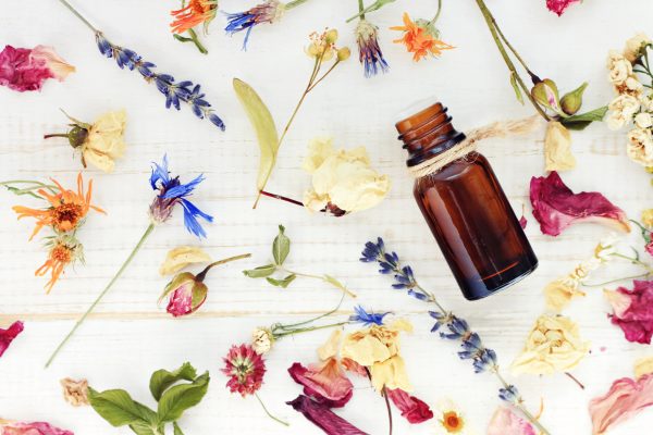 flower power, plant power, natural health, essential oils, bach flower remedies, new zealand first light essences, seed wellness, health blog, wellness blog